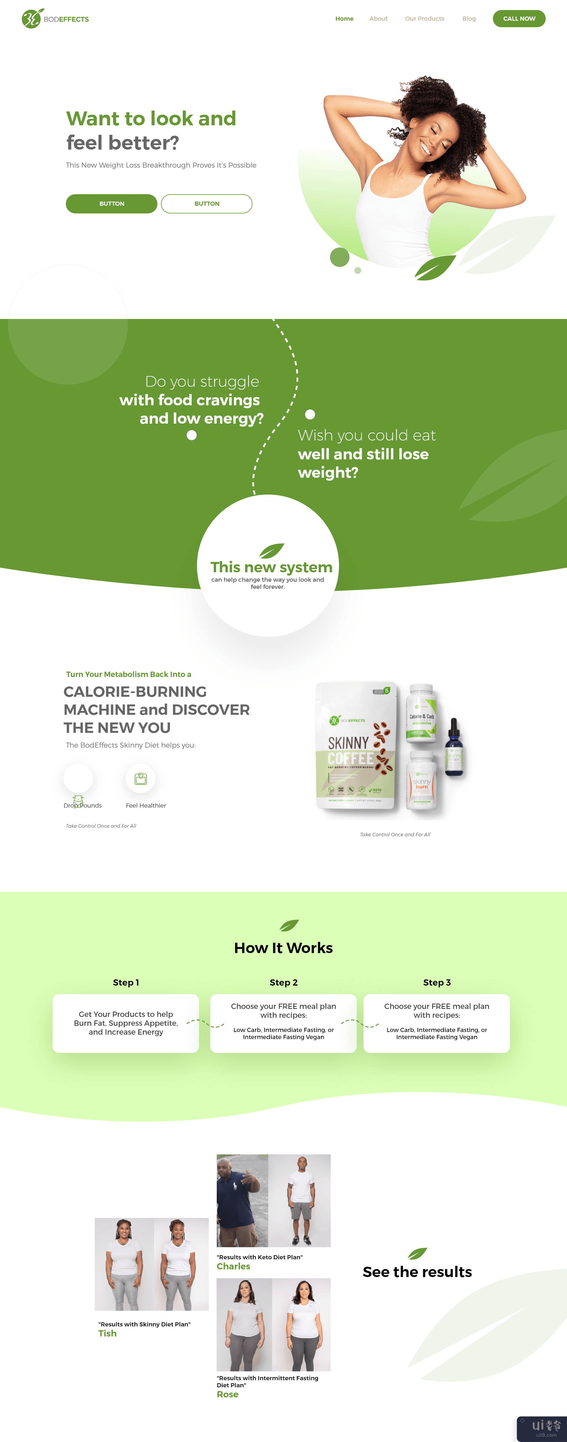 清洁产品网站设计(Clean Product Website Design)插图