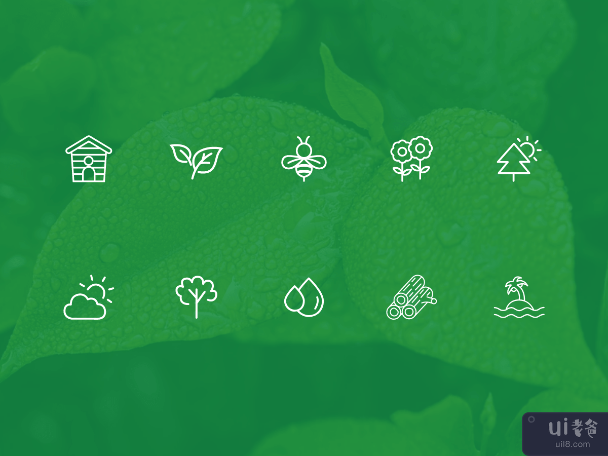 自然图标集(Nature Icon Sets)插图
