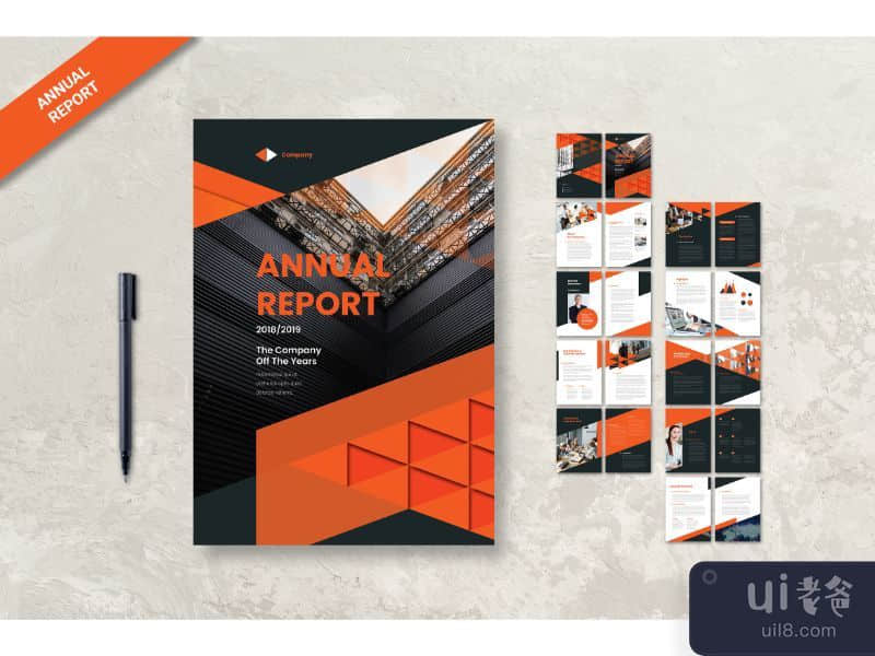 Annual Report Analysis Company