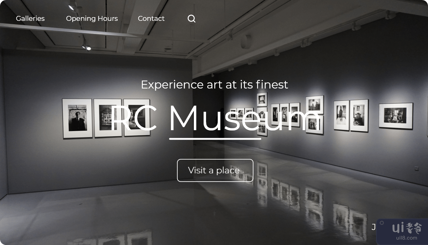博物馆网页登陆界面(Museum Web Landing UI)插图