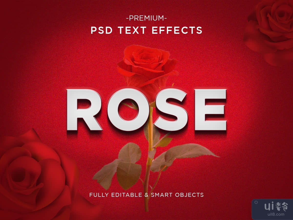 3d Rose text effect design mock-up