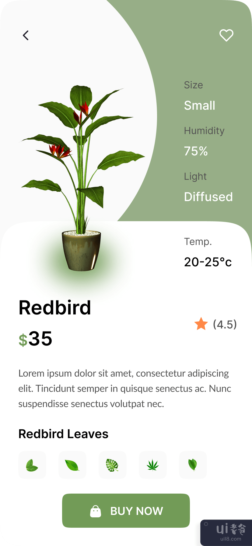 植物商店 - 移动应用程序(Plant Shop - Mobile App)插图