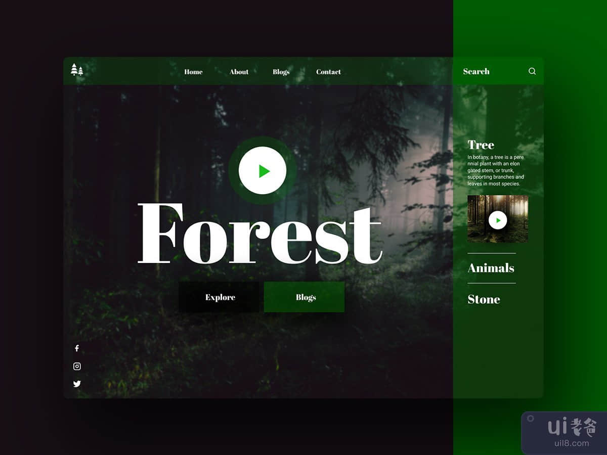 晚上在森林标题概念(Night In Forest Header Concept)插图