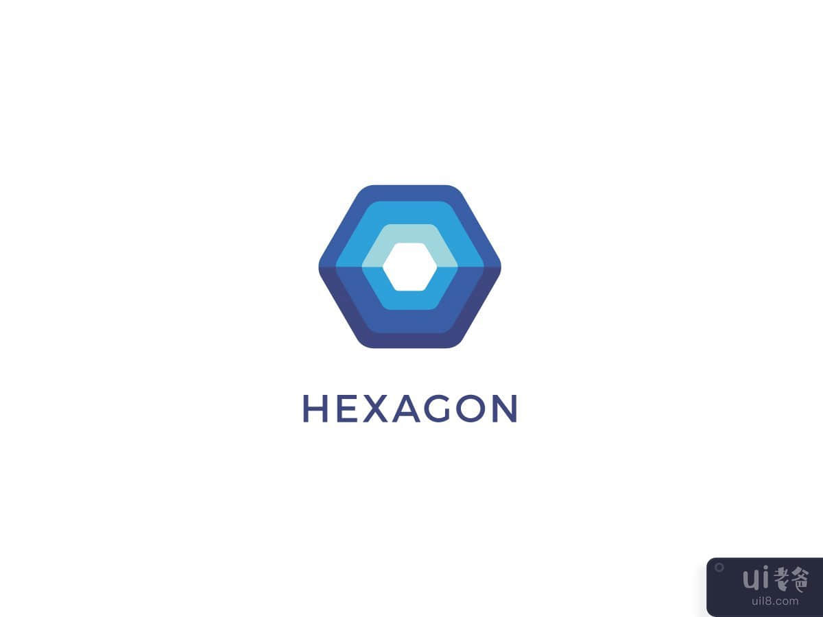 Hexagon Vector Logo Design Template
