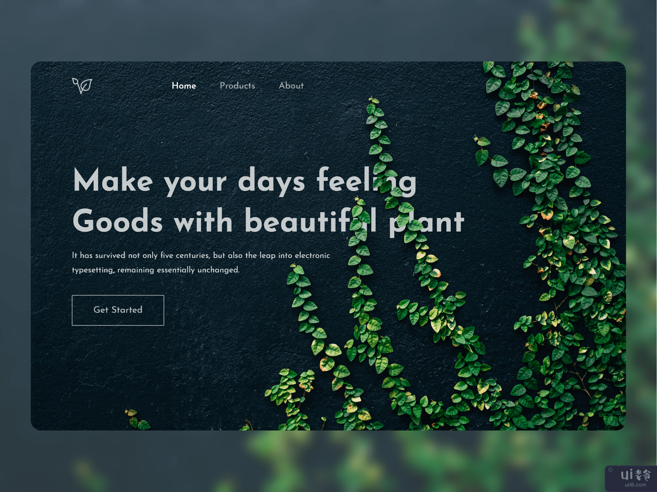 墙植物网络应用程序(Wall Plant Web app)插图