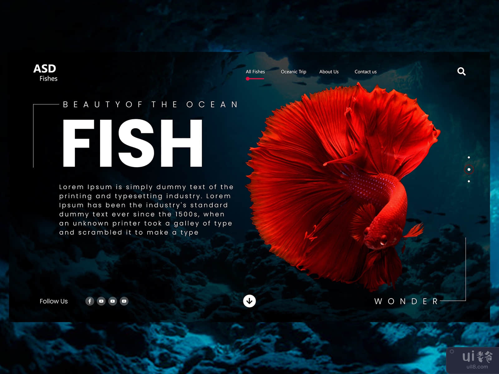 创意鱼网站登陆页面设计：海洋之美(Creative Fish Website Landing Page Design: Beauty of the Ocean)插图