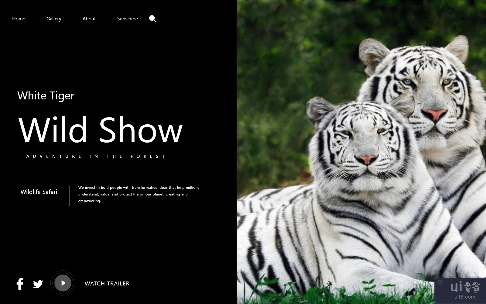 白虎网页登陆页面(White Tiger Web Landing Page)插图