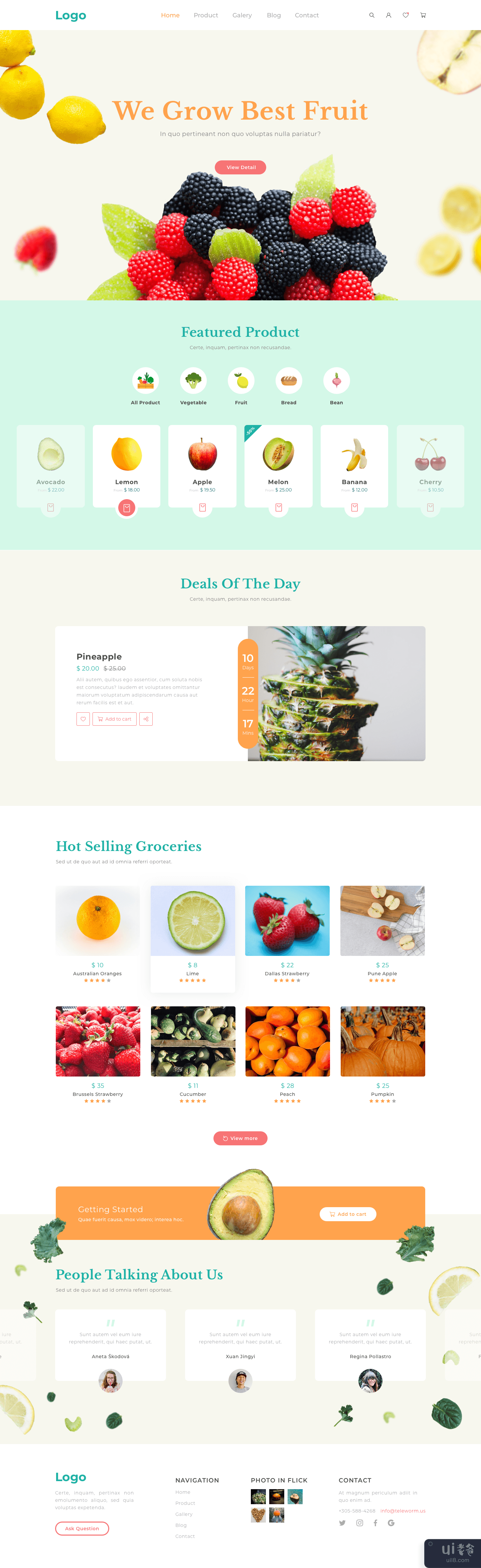水果店登陆页面模板(Fruit shop landing page template)插图