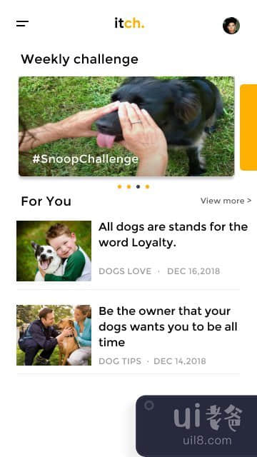 宠物护理应用程序（痒）(Pet Care App (itch))插图8