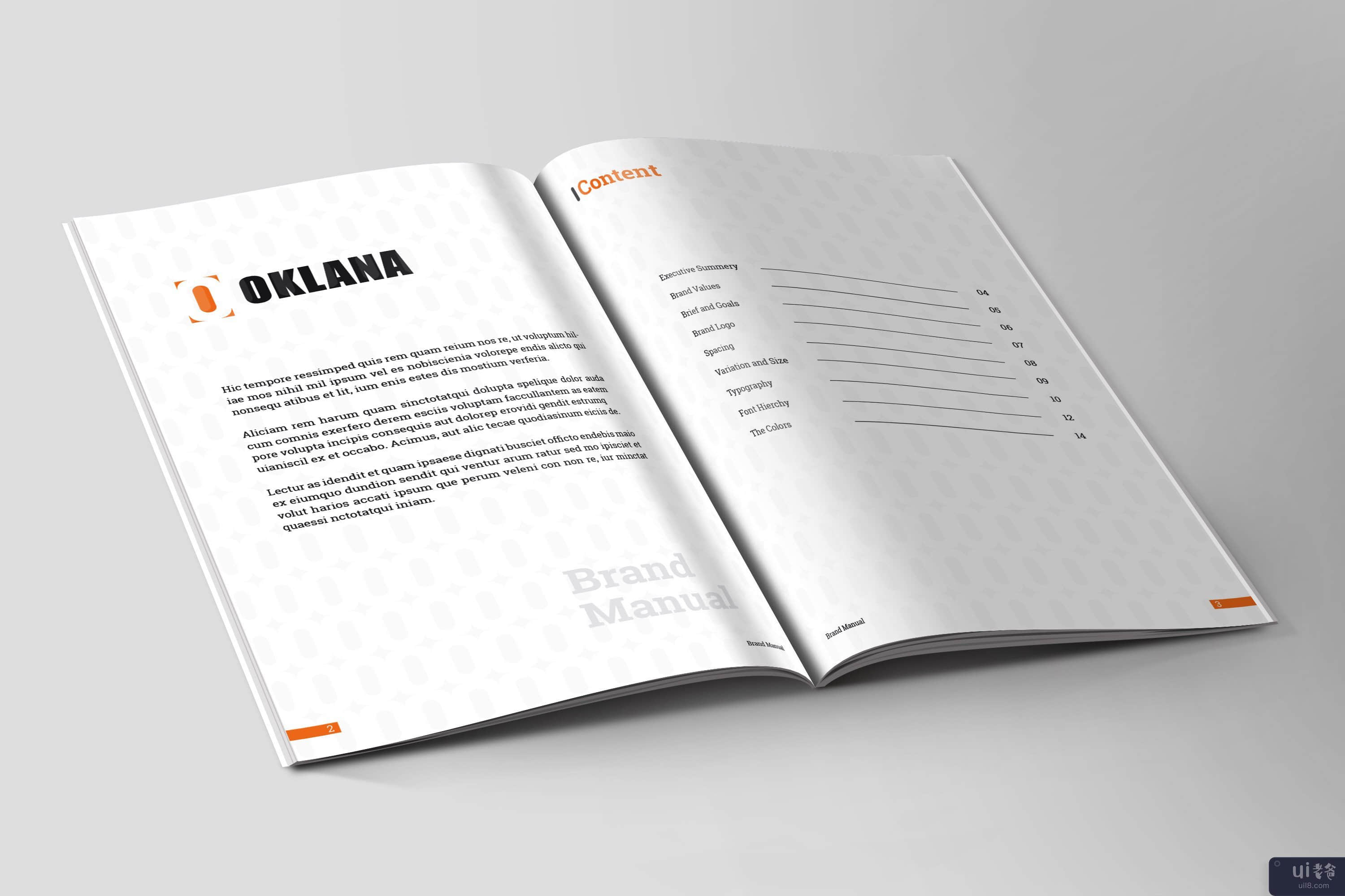 品牌手册指南 | InDesign 模板(Brand Manual Guideline | InDesign Template)插图2