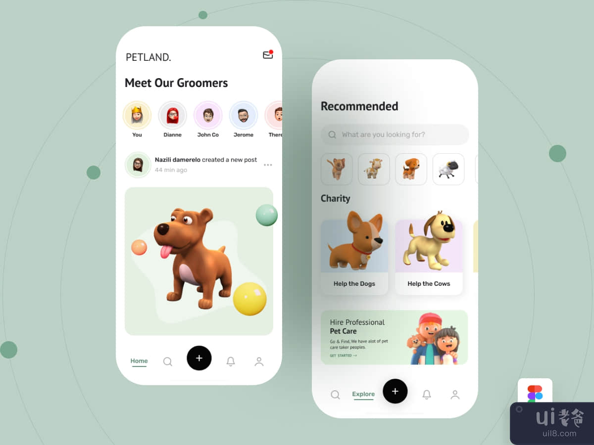 Pet Care App UI Design