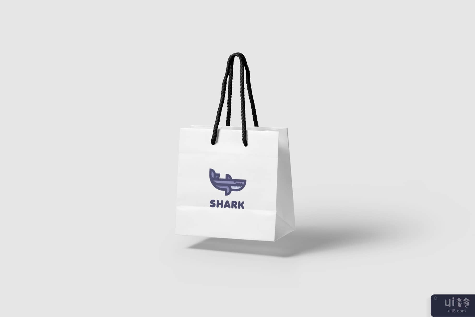 鲨鱼(Shark)插图2