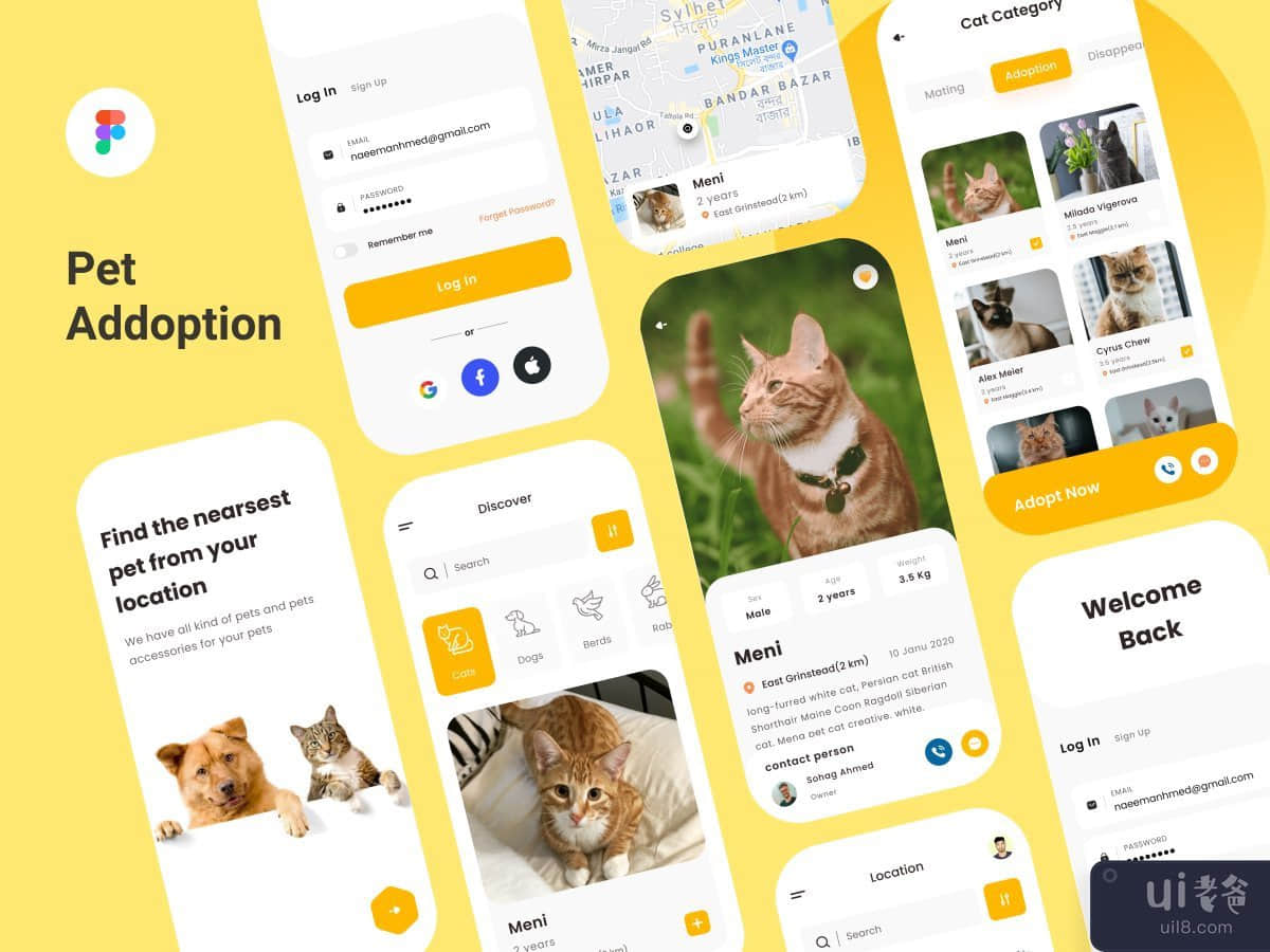 宠物收养应用程序(Pet Adoption app)插图