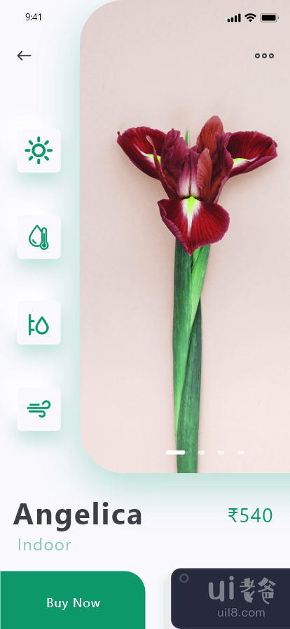 植物应用(Plants App)插图1