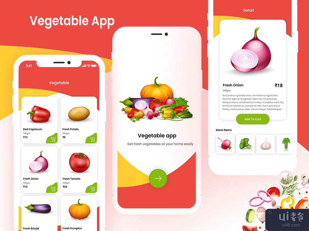 蔬菜应用(Vegetable App)插图