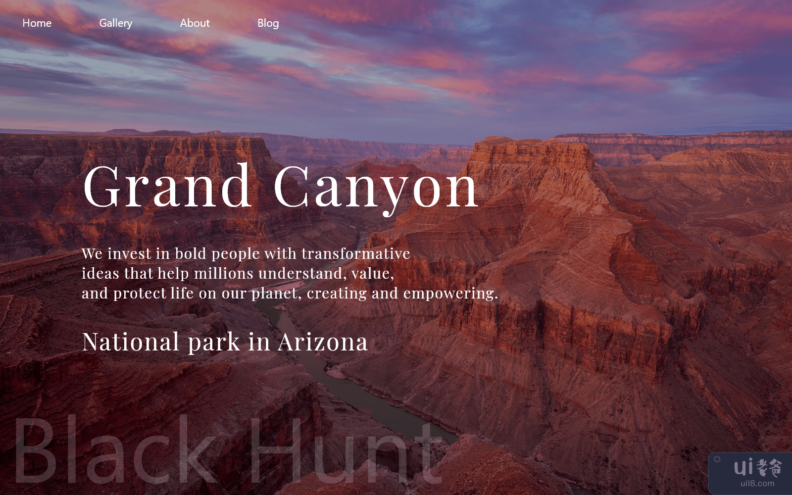 大峡谷 Web Ui 概念(Grand Canyon Web Ui Concept)插图