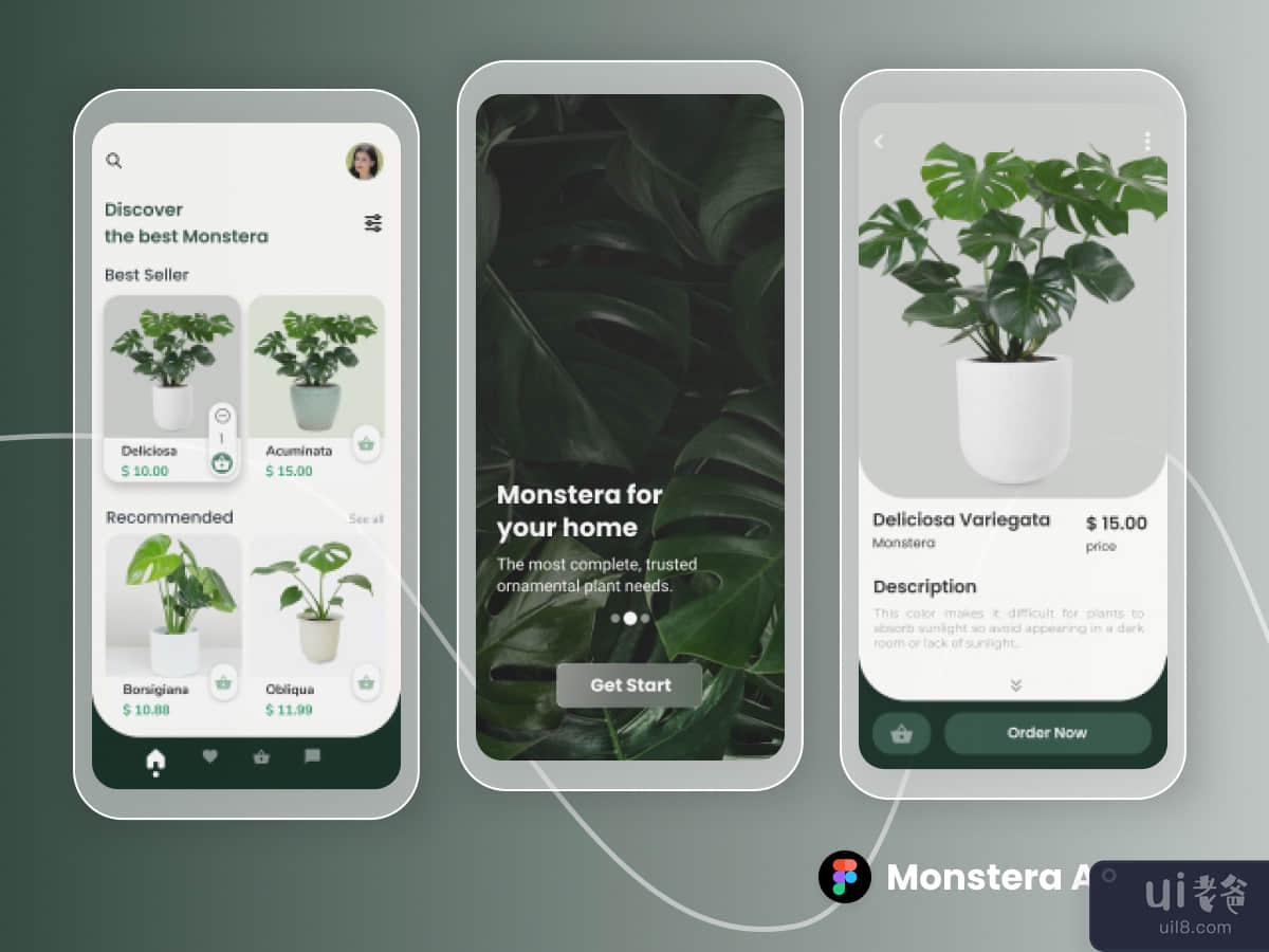 Plant Monstera App UI Kits 