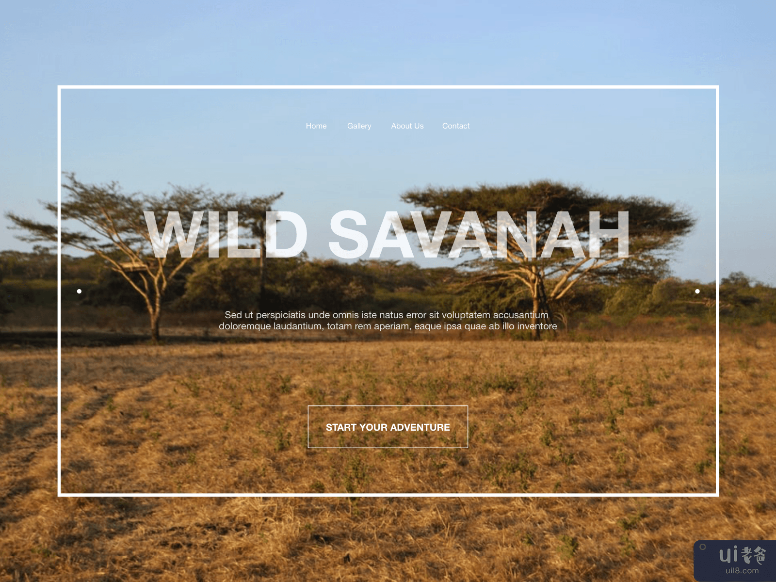 Website Header Wild Savanah