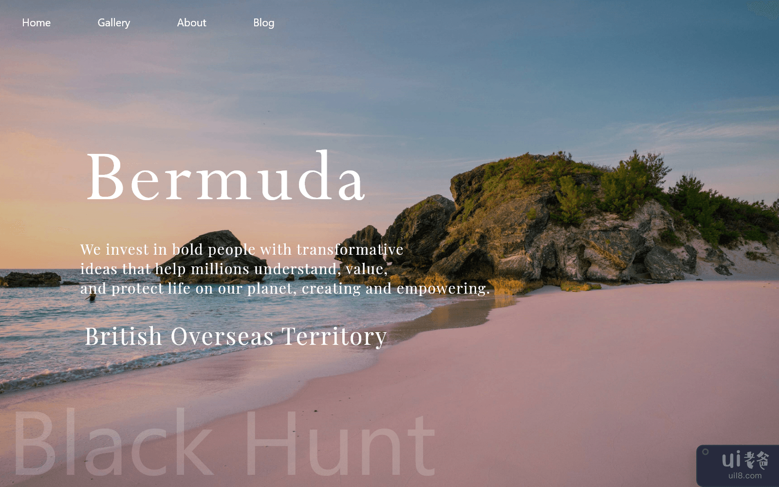 百慕大网页登陆页面(Bermuda Web Landing Page)插图
