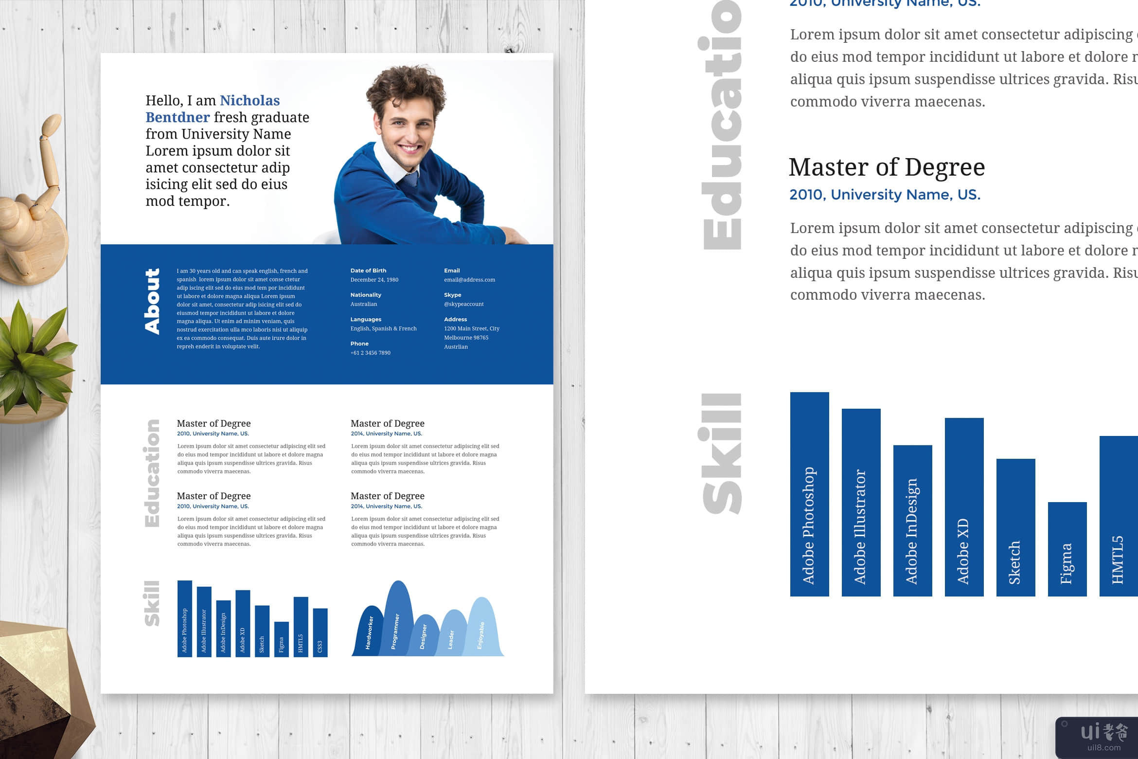 专业简历模板(Professional Resume Template)插图2