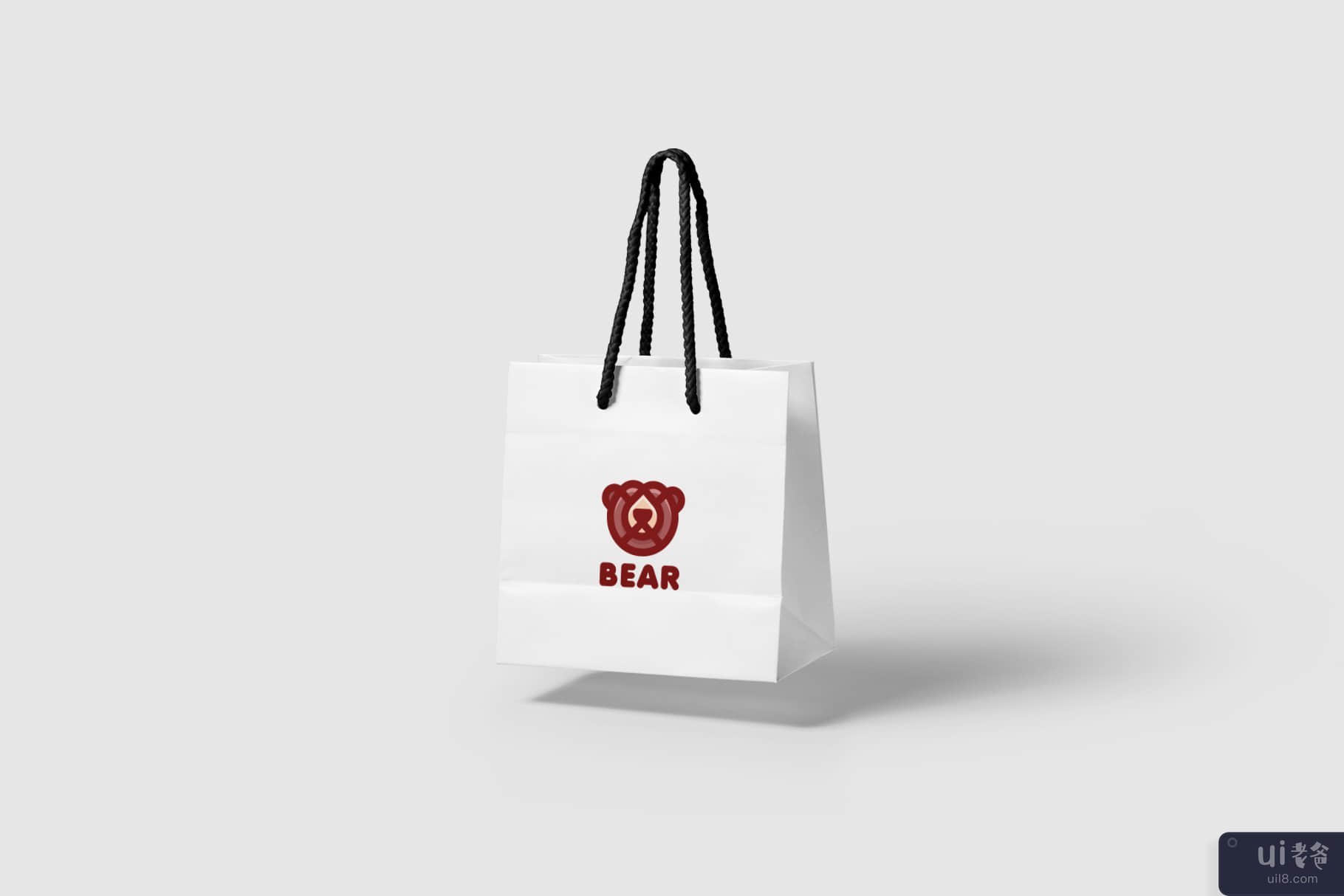 熊(Bear)插图2