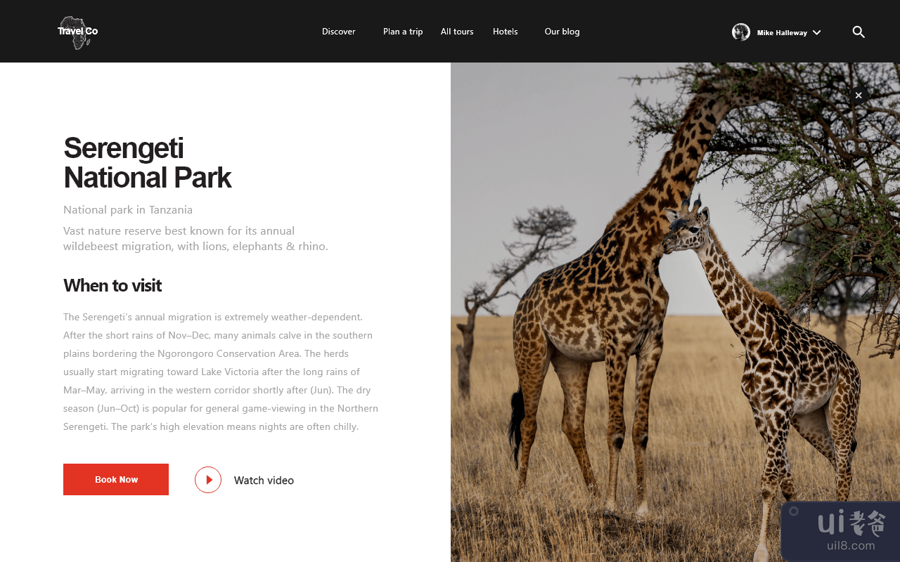 塞伦盖蒂国家公园(Serengeti National Park)插图