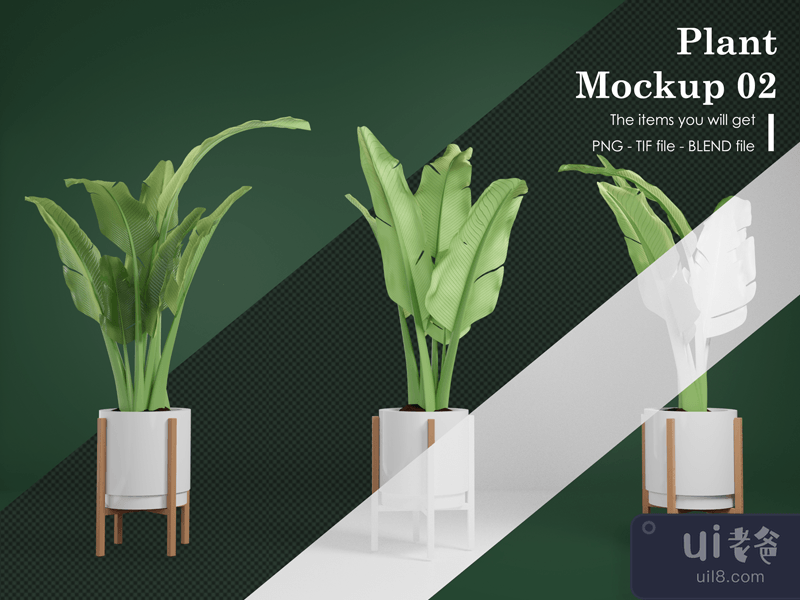 Plant Mockup 02