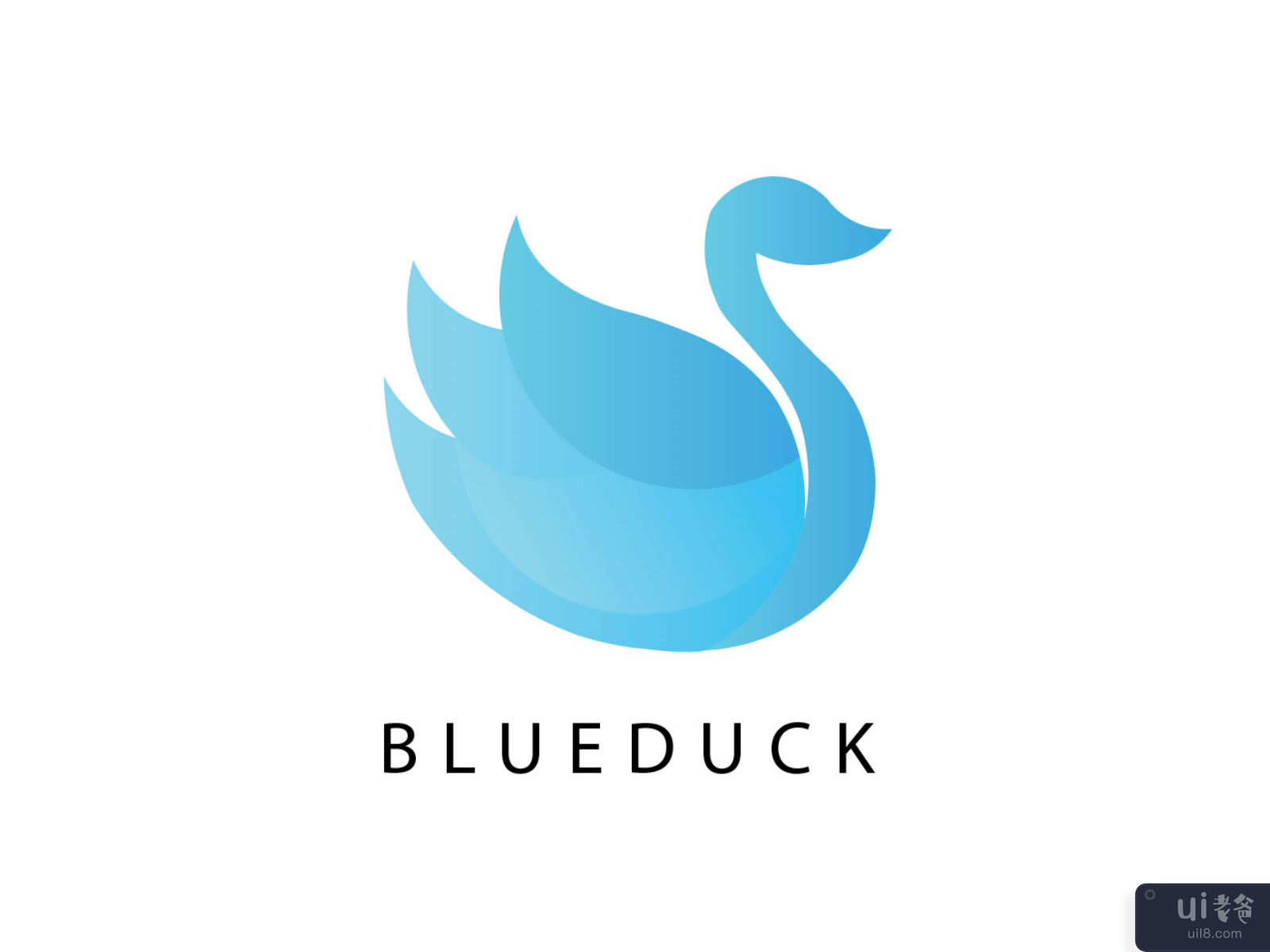 Blueduck logo design