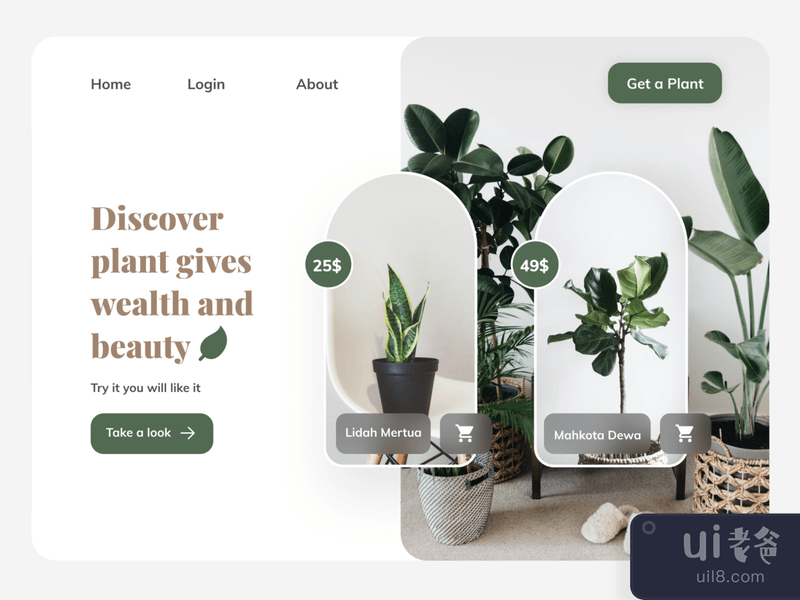 Plant Landing Page Website Concept