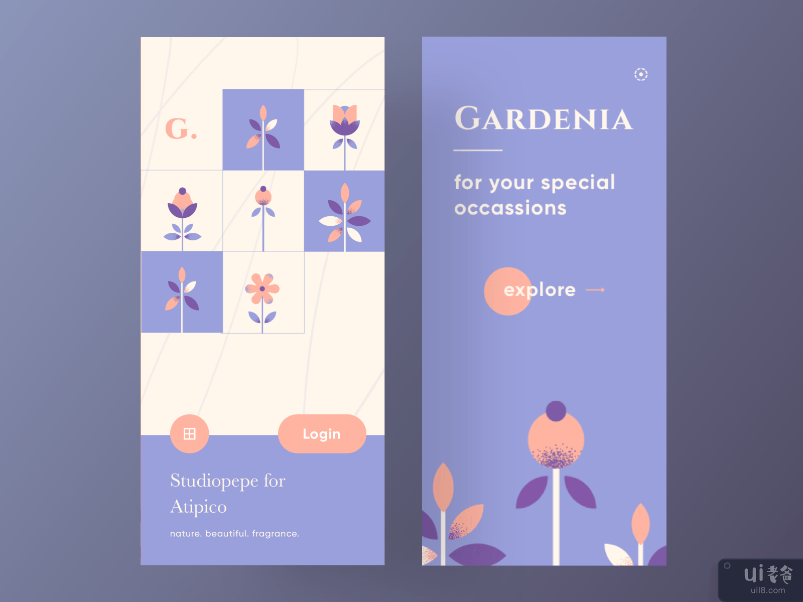 Gardenia - Plants & Flowers for your special occas