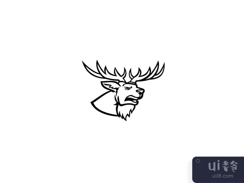 Head of a Red Deer or Cervus Elaphus Stag or Buck with Antlers Roaring Mascot