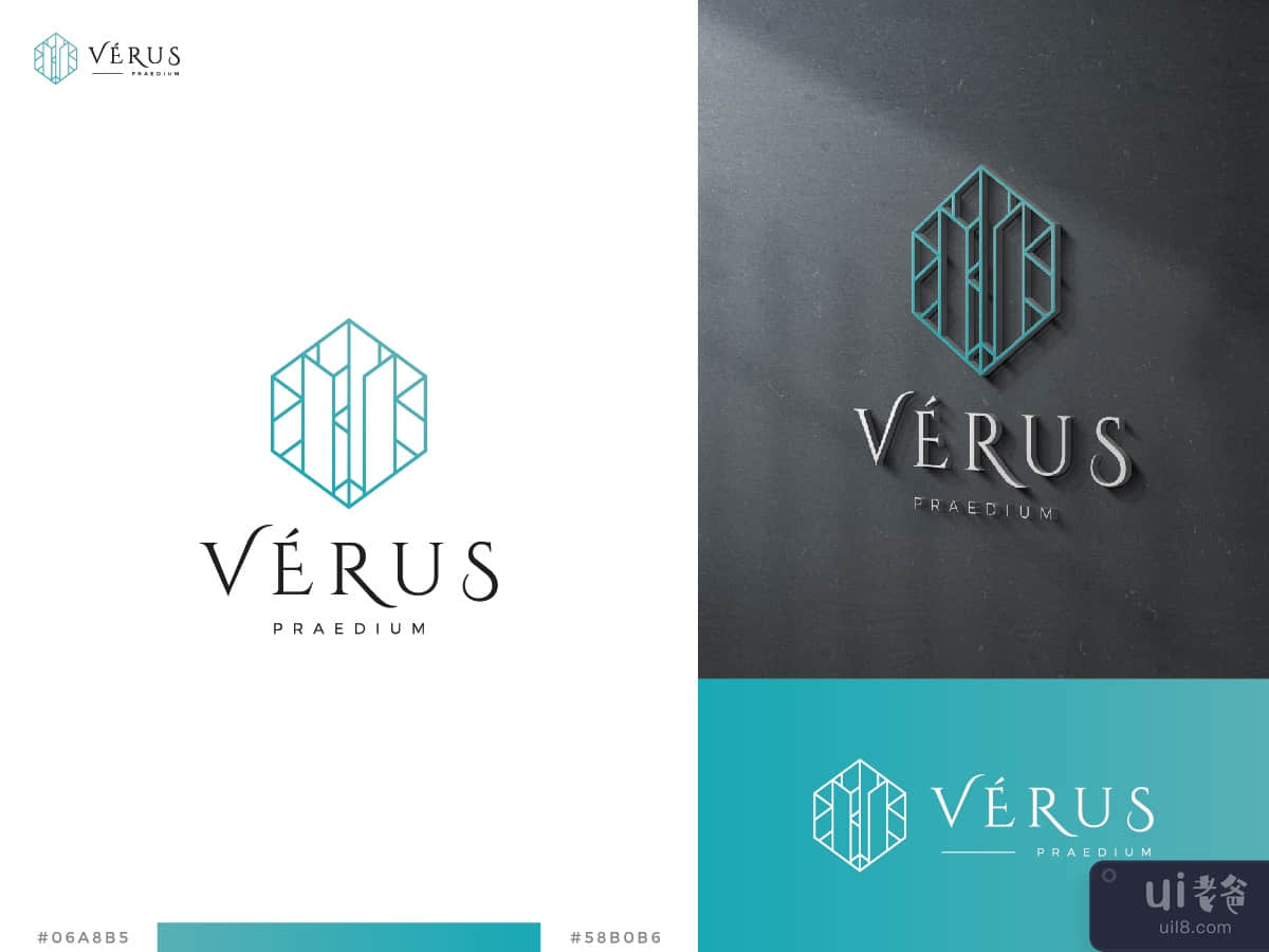 Profesional letter V luxury logo template