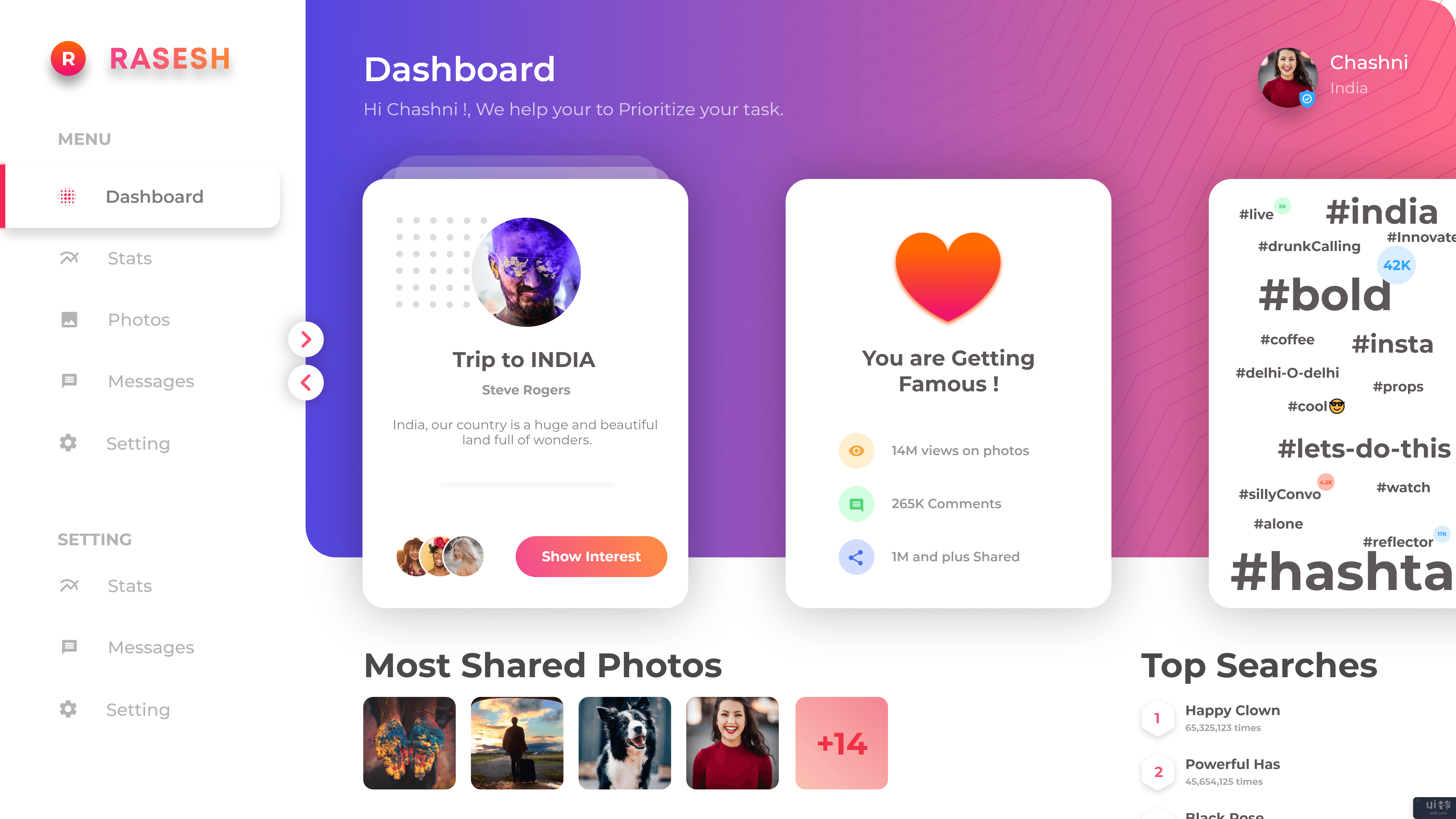 约会社交网络仪表板(Dashboard for Dating Social Network)插图