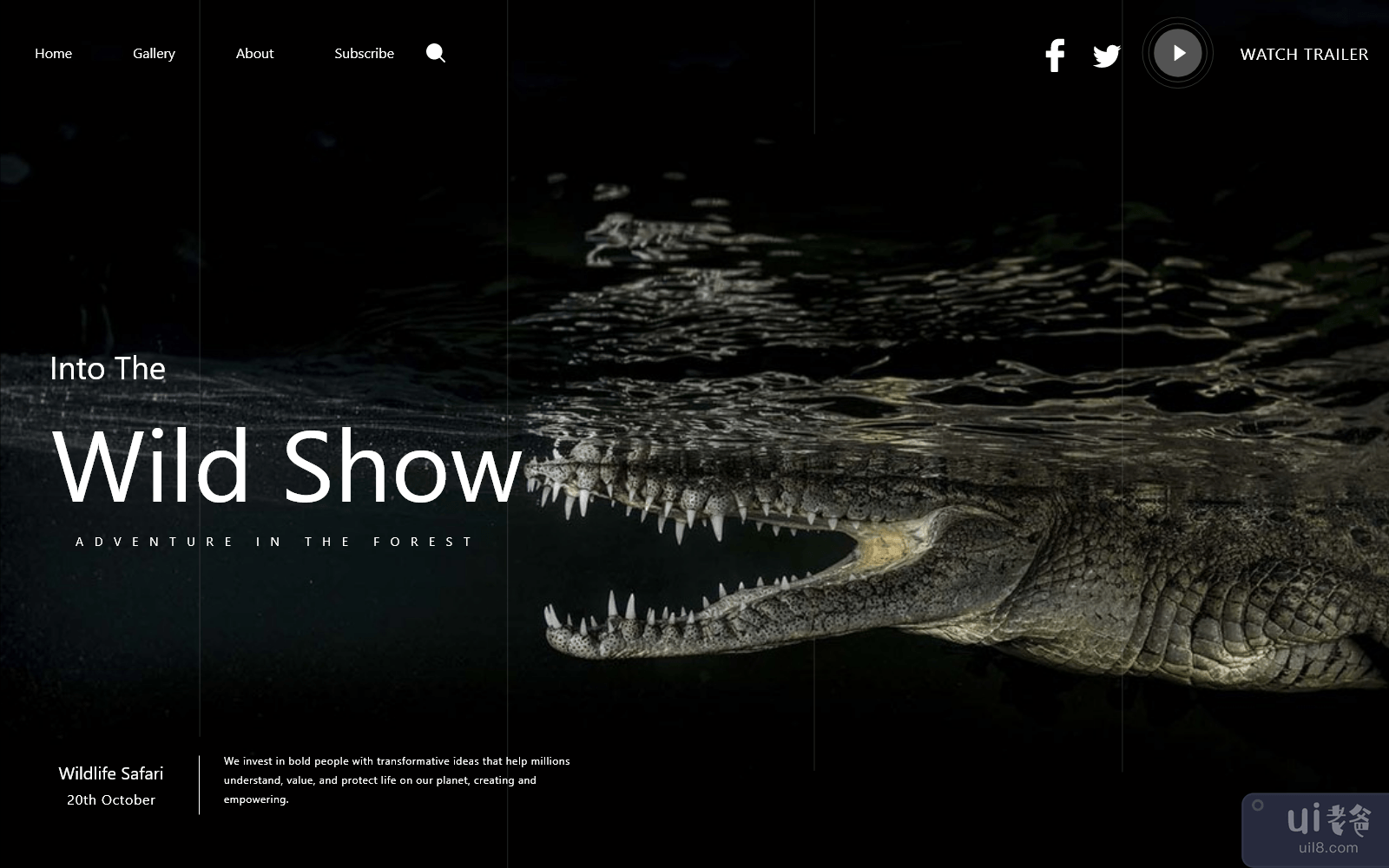 鳄鱼网登陆(crocodile Web Landing)插图