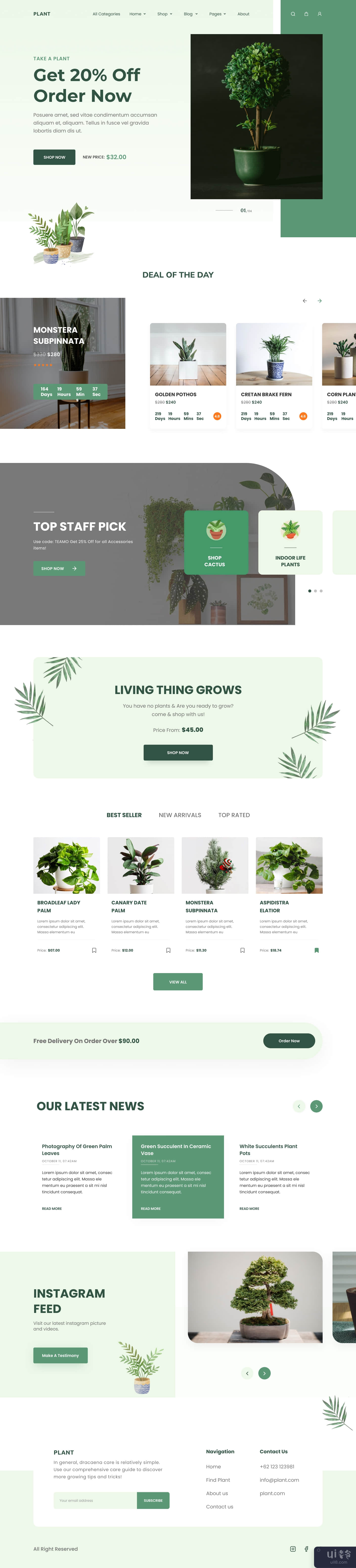 Plant Shop - 登陆页面设计(Plant Shop - Landing Page Design)插图3