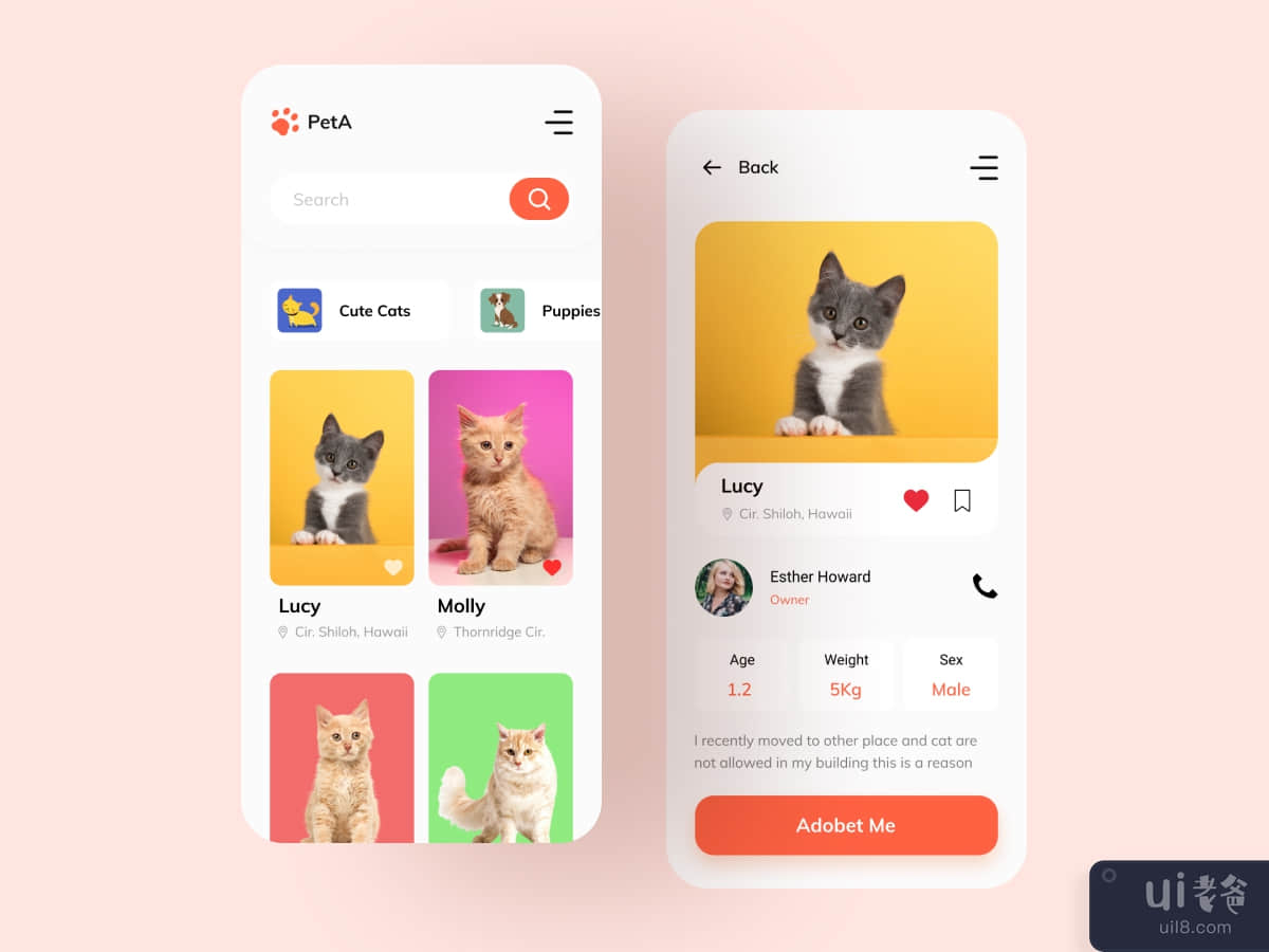 Pet adopt app 