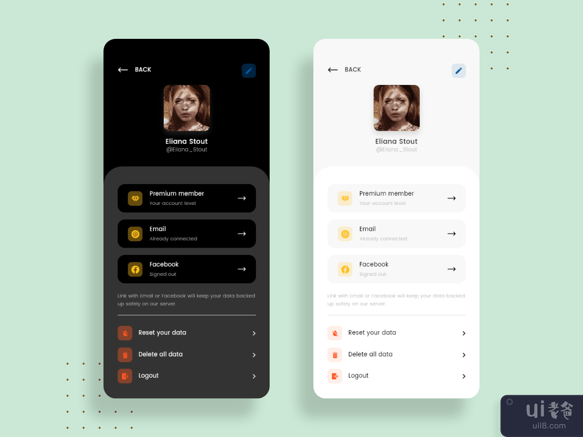 User Profile as Light and Dark modes