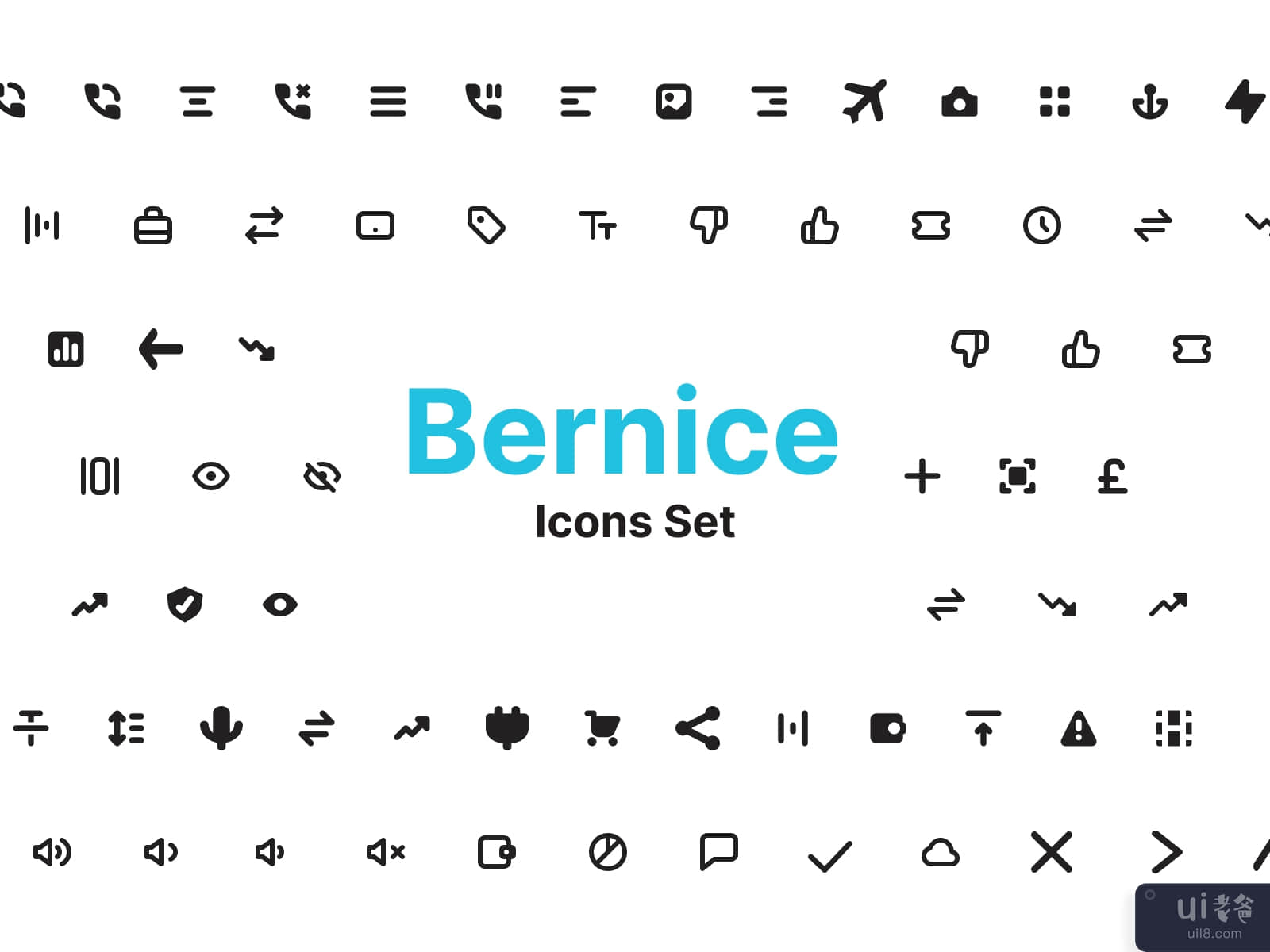 Bernice Icons Set 