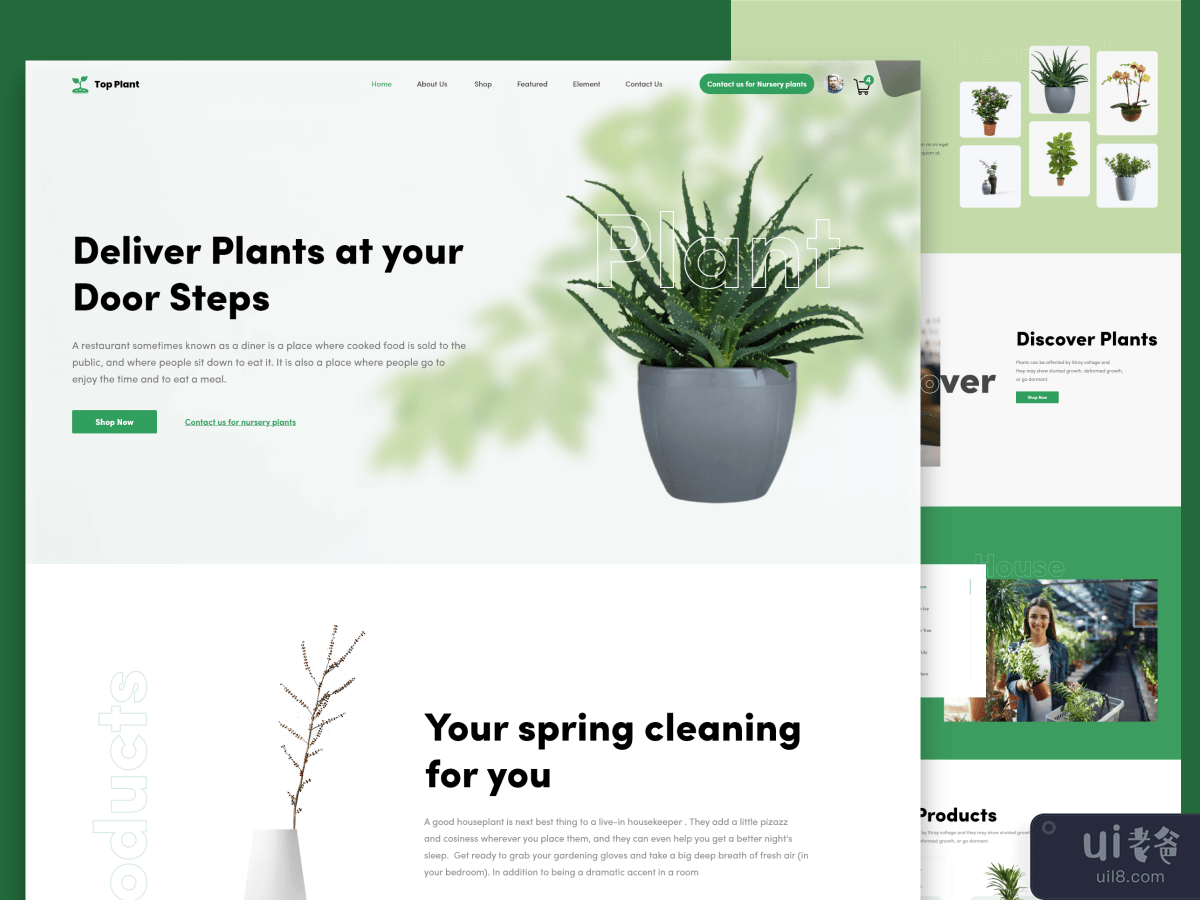 Creative - Top Plants Web Landing page