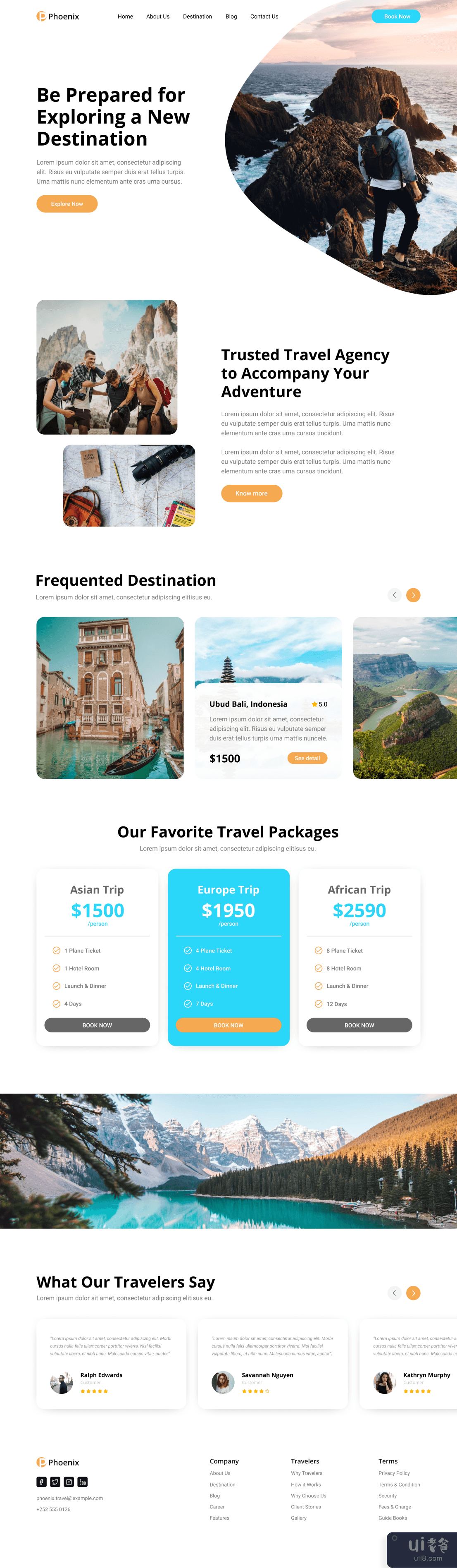 Phoenix Travel - Web UI 套件(Phoenix Travel - Web UI Kit)插图