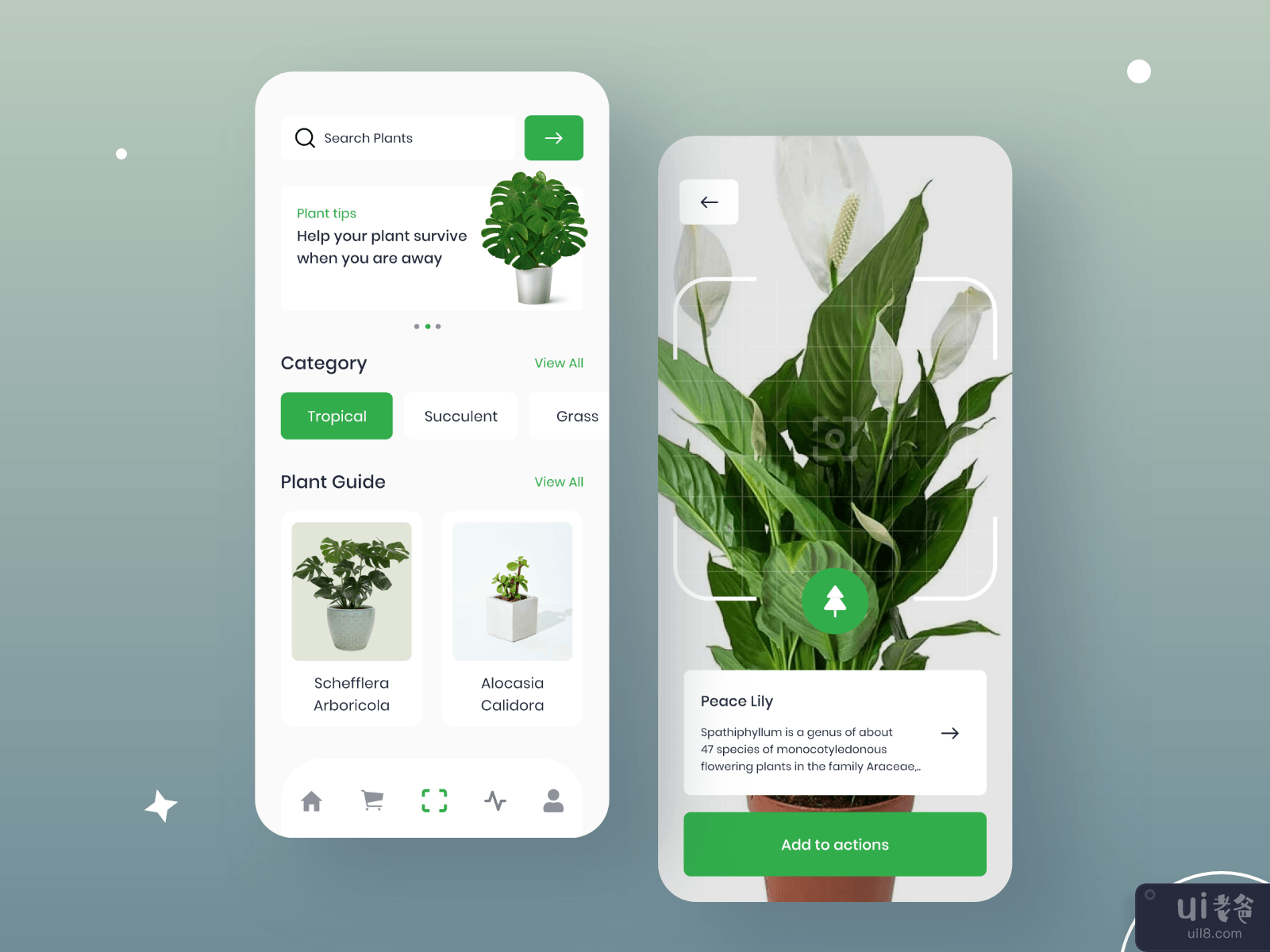 植物识别应用程序(Plant Identification App)插图
