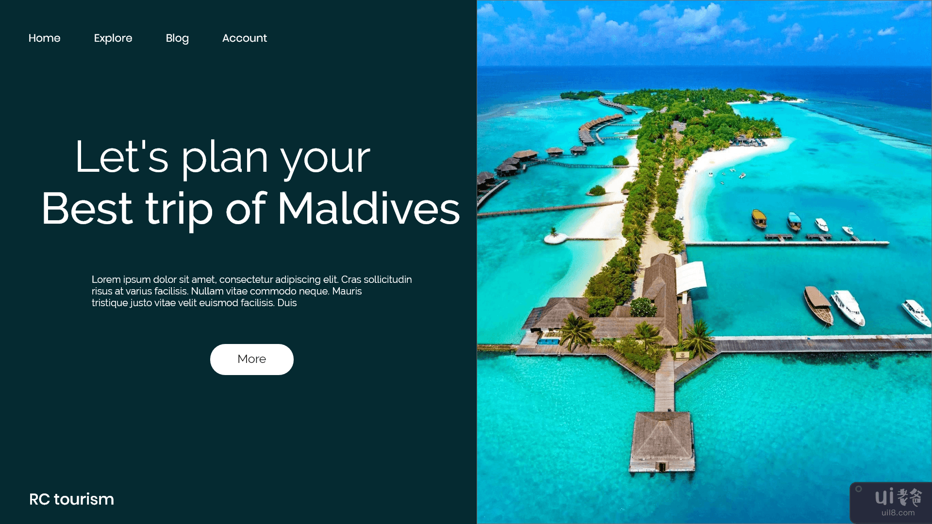 马尔代夫网页登陆页面(Maldives Web Landing Page)插图