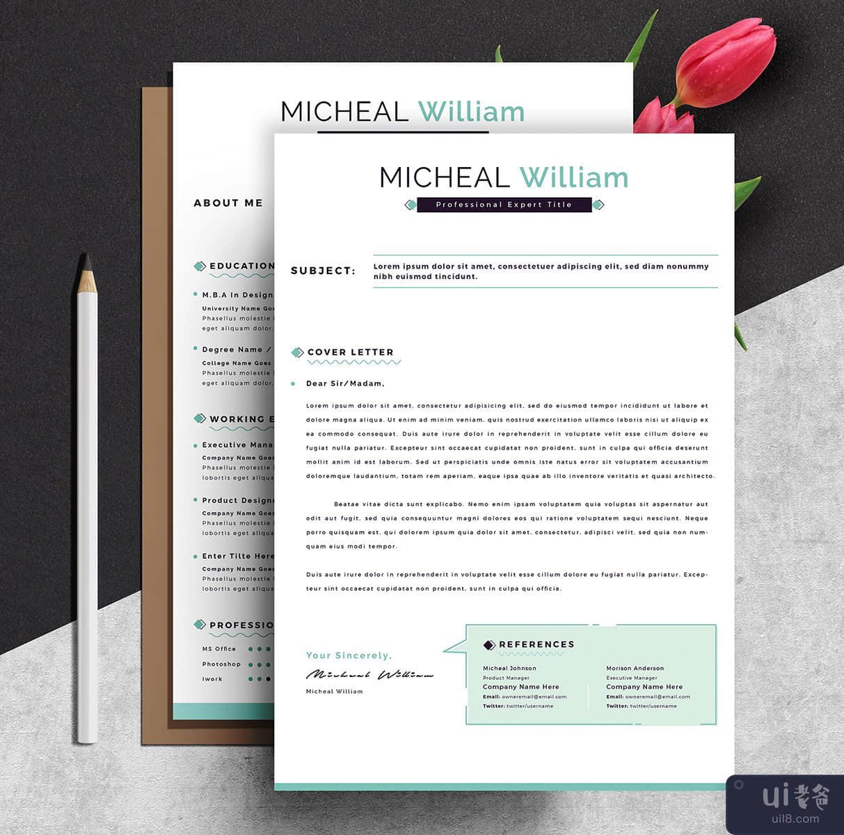 专业简历模板(Professional Resume CV Template)插图2