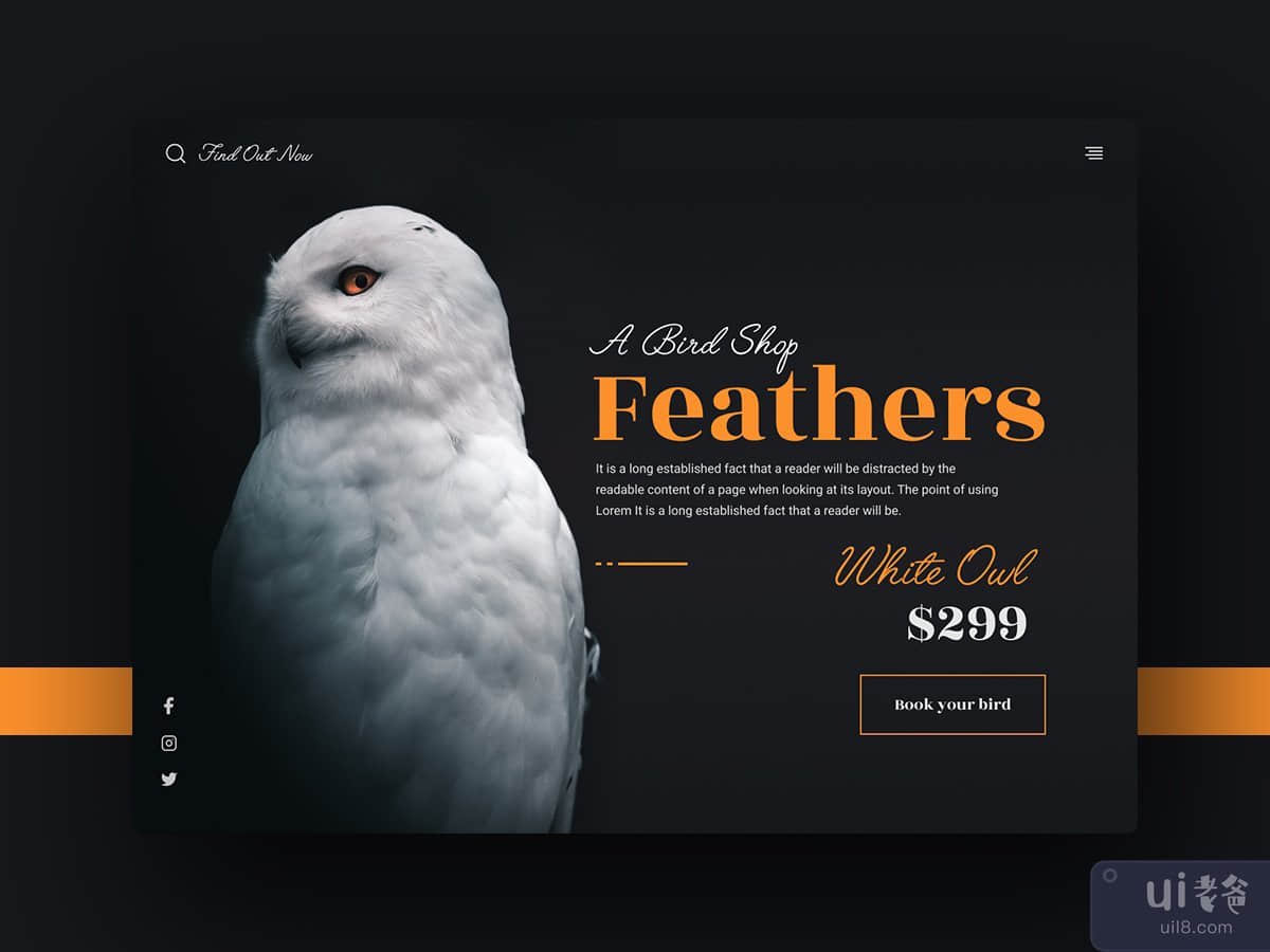 鸟店网站和登陆页面标题(Bird Shop Website And Landingpage Header)插图