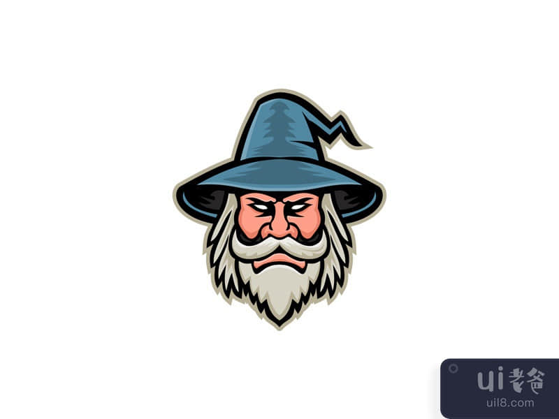 Wizard Head Mascot