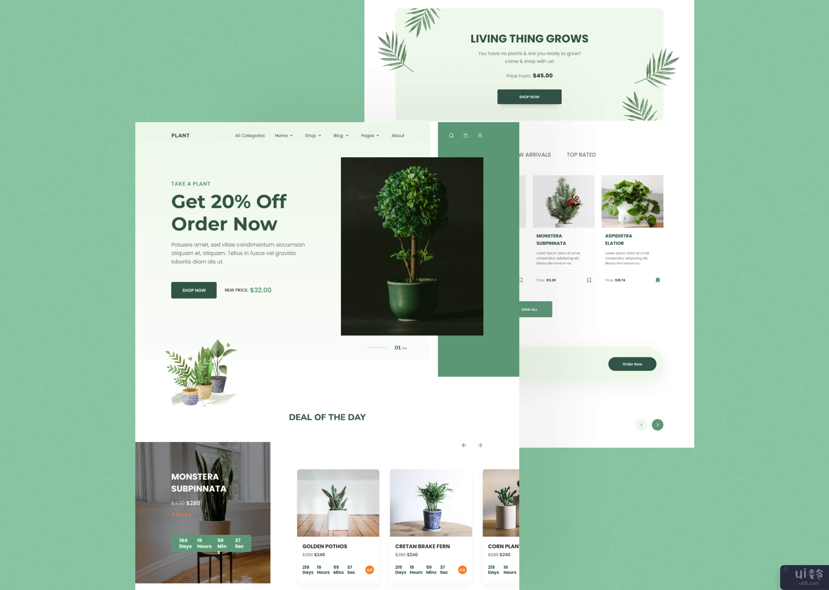 Plant Shop - 登陆页面设计(Plant Shop - Landing Page Design)插图2