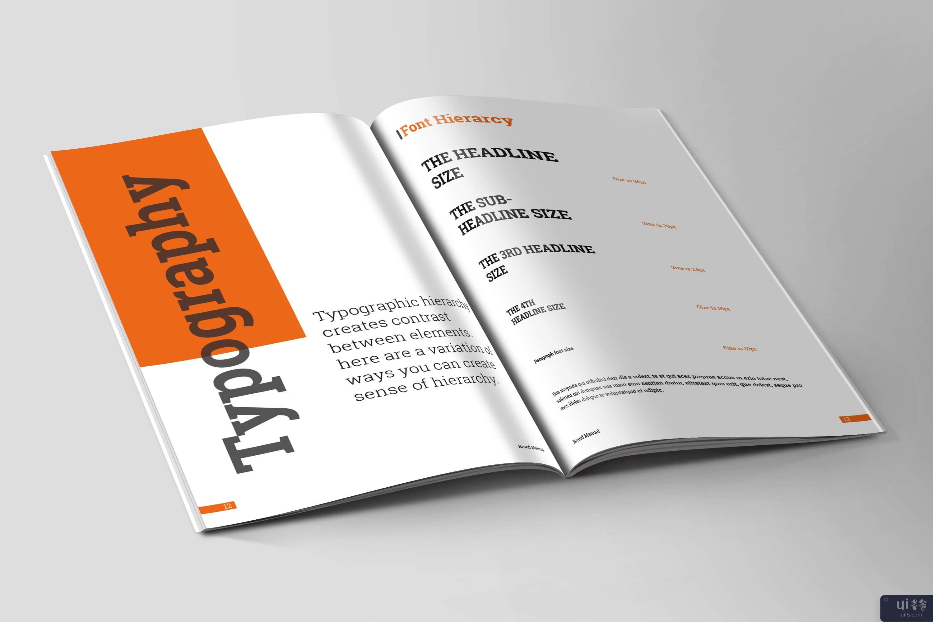 品牌手册指南 | InDesign 模板(Brand Manual Guideline | InDesign Template)插图3