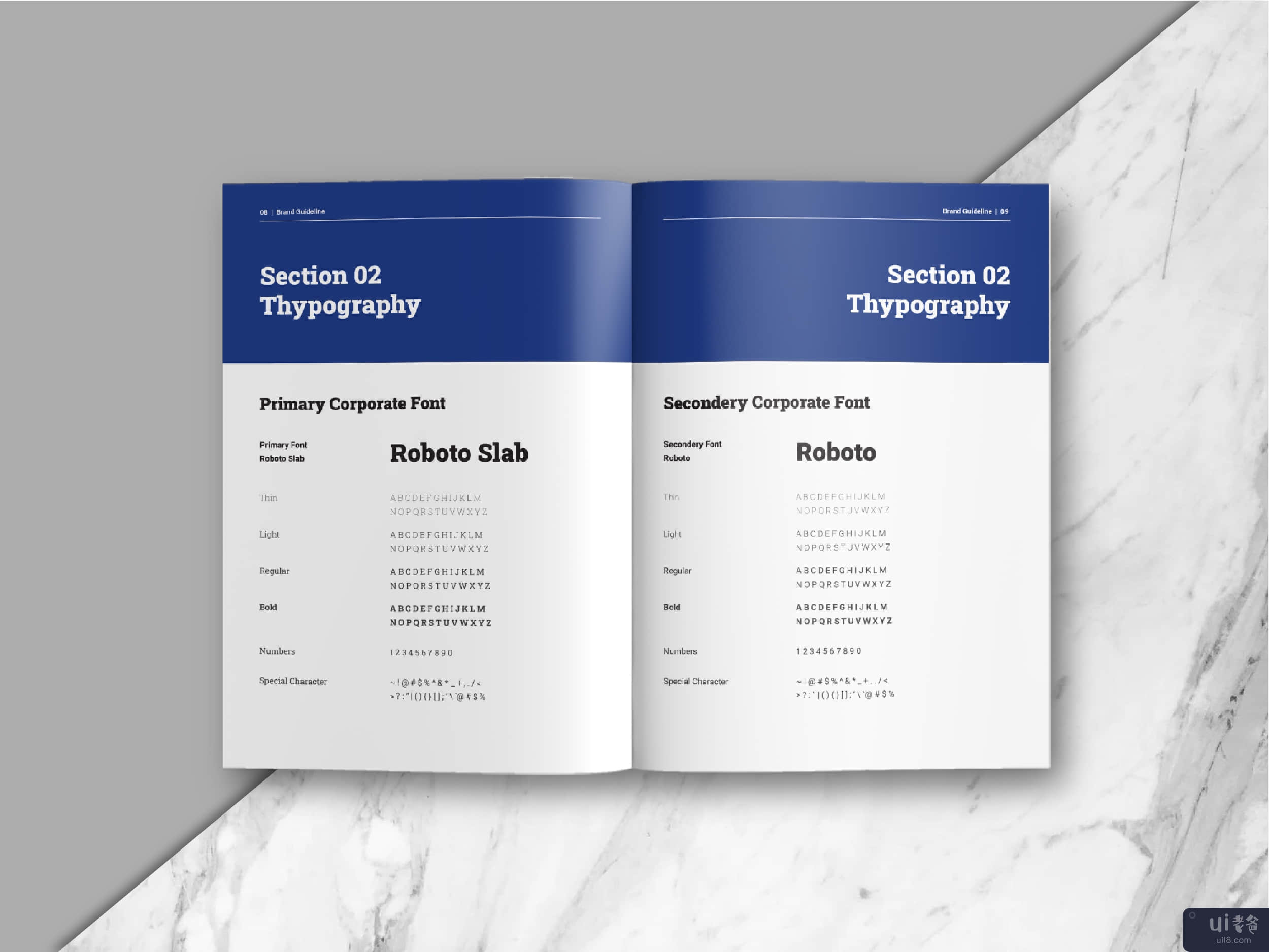 品牌手册指南模板(Brand Manual Guideline Template)插图4