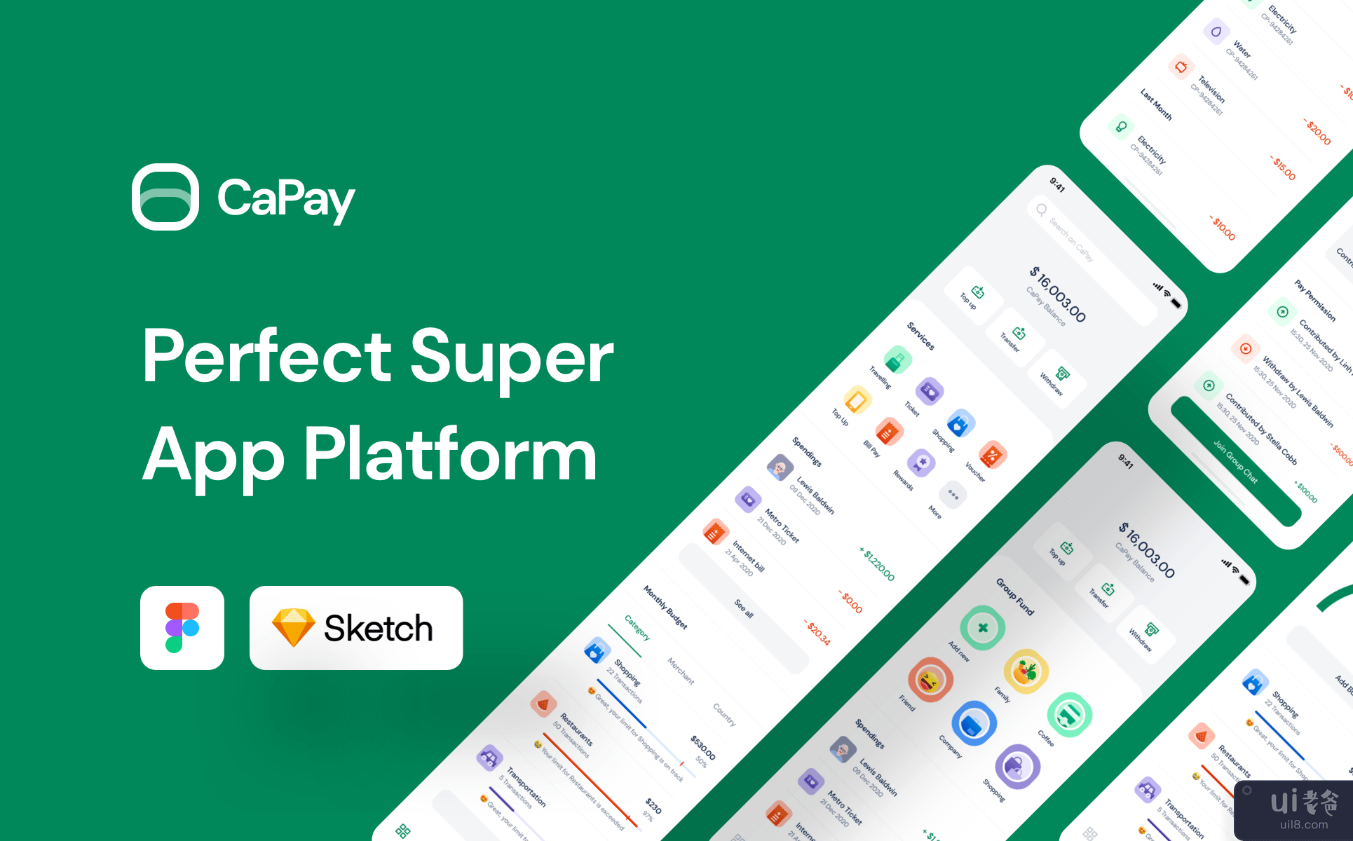 CaPay 钱包 iOS UI 套件(CaPay Wallet iOS UI Kit)插图