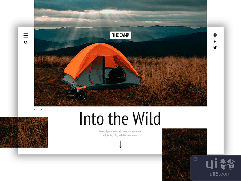 Hero Header - Into the wild